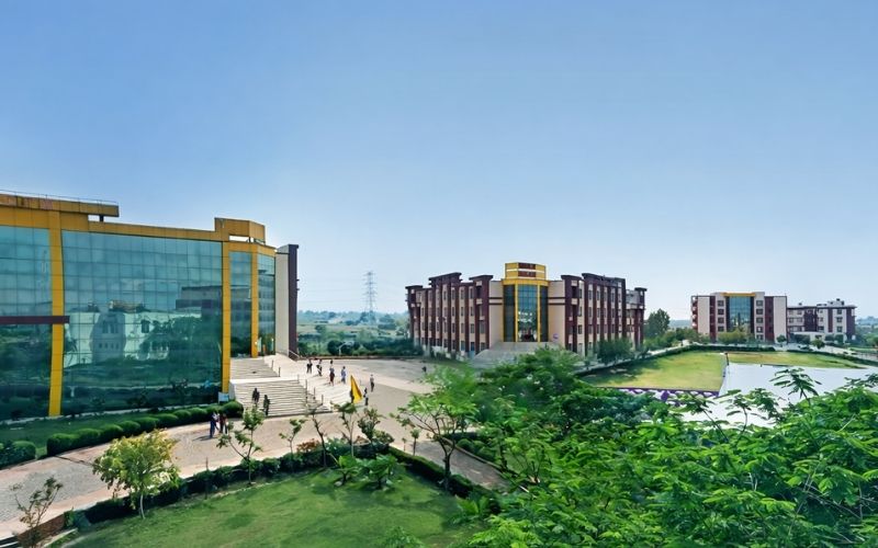 World College of Technology & Management