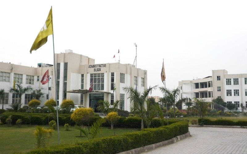 World Institute of Technology - WIT