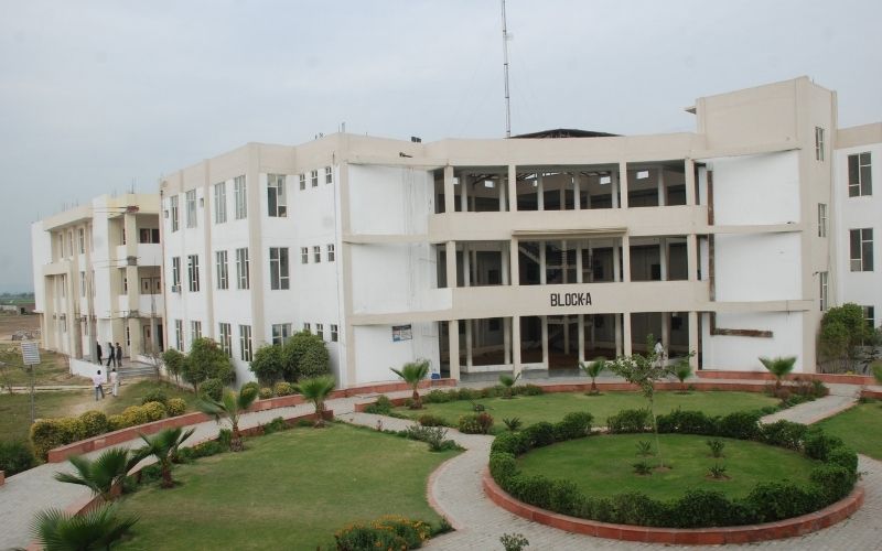 World Institute of Technology - WIT